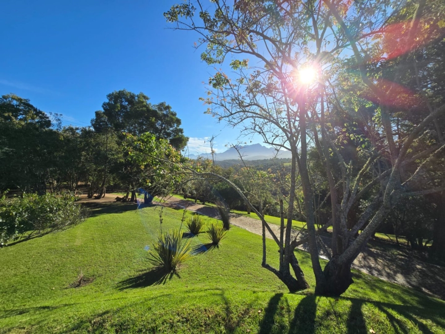 Commercial Property for Sale in Wilderness Heights Western Cape